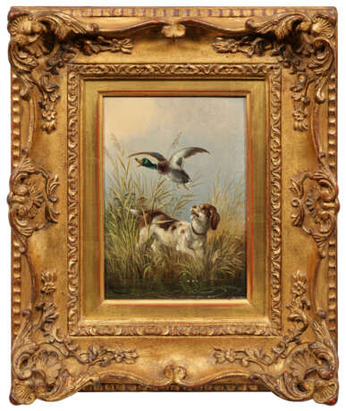 Moritz Müller - photo 1 Moritz Müller - photo 1