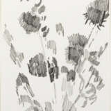 Siegward Sprotte - Foto 1