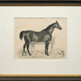 Emil Volkers - photo 1