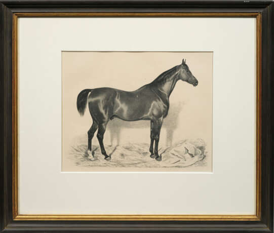 Emil Volkers - photo 1 Emil Volkers - photo 1