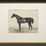 Emil Volkers - photo 2