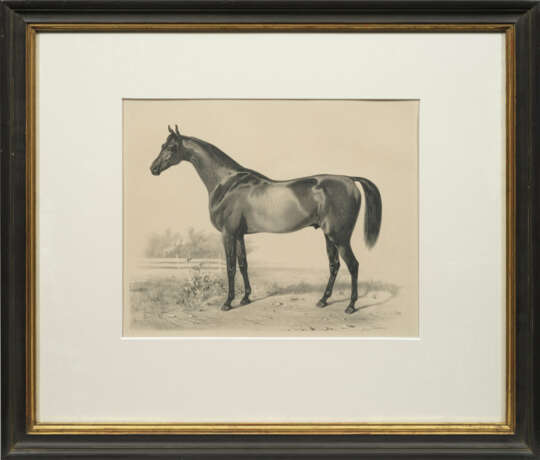 Emil Volkers - photo 3 Emil Volkers - photo 3