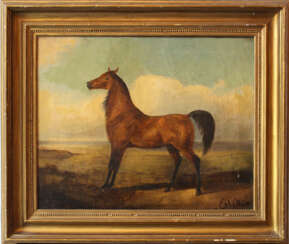Emil Volkkers (1831-1905) attributed, Horse, oil canvas, framed