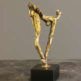 La fleur Calcul 21th century - photo 2