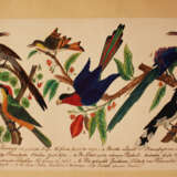 German artist, nature studies, black ink watercolour on paper, both sides with birds etc. early 19. century - фото 2