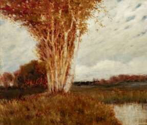 Hans am Ende (Trier 1864 - Stettin 1918). Moor bei Worpswede.