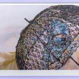 Cornelia Schleime (Berlin 1953). Scirocco. - photo 2