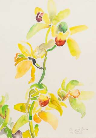 Siegward Sprotte (Potsdam 1913 - Kampen/Sylt 2004). Orchidee. - photo 1 Siegward Sprotte (Potsdam 1913 - Kampen/Sylt 2004). Orchidee. - photo 1