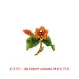 Coral-Nephrite-Brooch "Blume" - photo 1