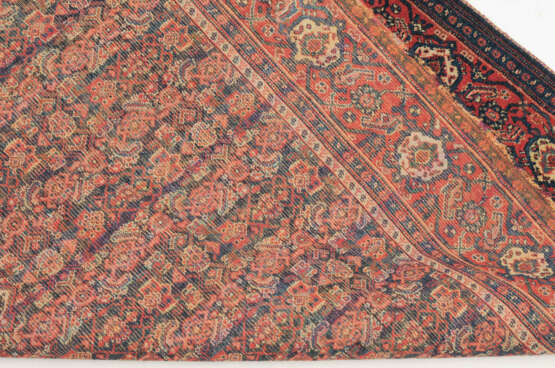 Senne - Foto 6 Senne - Foto 6