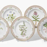 Royal Copenhagen, 12 Suppenteller "Flora Danica" - фото 2