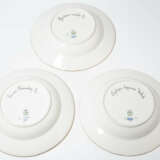 Royal Copenhagen, 12 Suppenteller "Flora Danica" - фото 3