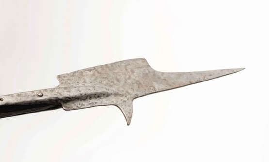 Halbarte - photo 4 Halbarte - photo 4