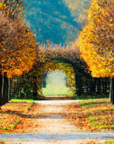Autumn Park Autumn Park