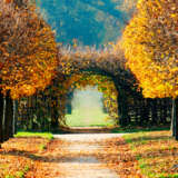 „Herbst Park“ Fotopapier Digitale Fotografie Farbfoto Landschaftsmalerei 2007 - Foto 1