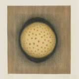 Arthur Luiz Piza - photo 1