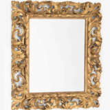 Zierspiegel - photo 1