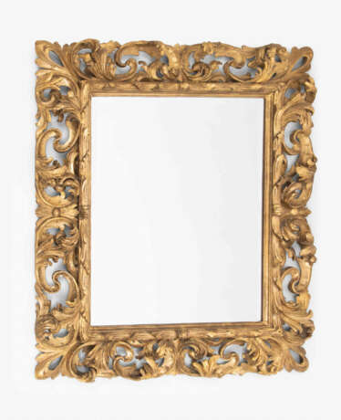 Zierspiegel - photo 1 Zierspiegel - photo 1