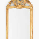 Zierspiegel - photo 1