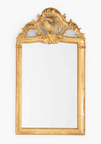 Zierspiegel - photo 1