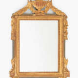 Zierspiegel - Foto 1