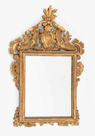 Zierspiegel - Foto 1