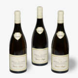 Puligny-Montrachet Les Combettes, 2008 - photo 1