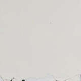 Jaime Isidoro. Untitled - photo 1