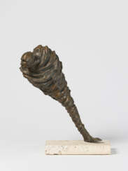 James Mathison. Metamorfosis-Torbelino