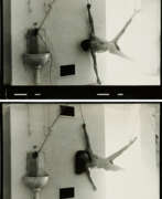 Photography. Tibor Hajas. Untitled (Image Whipping II Tumo)