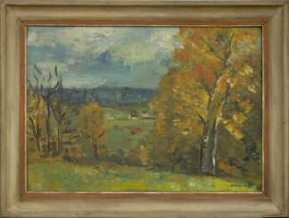 The surroundings of Tukums