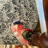 Unique and Large Carved Oak Armchair in Modern Fabric in the Style of Louis XIII Oak and fabric Louis XIII - Renaissance 19th century г. - фото 5