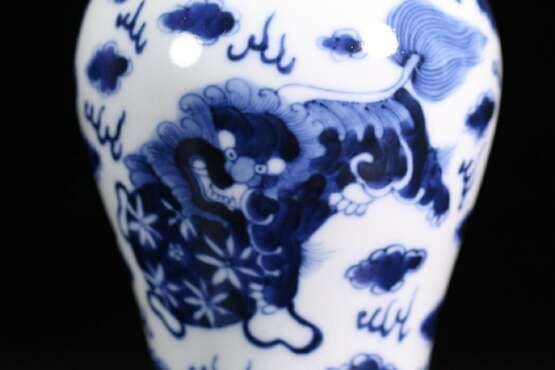 Qing Dynasty Blue and White Porcelain Double Lion Ornamental Bottle - Foto 7