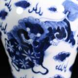 Qing Dynasty Blue and White Porcelain Double Lion Ornamental Bottle - Foto 7