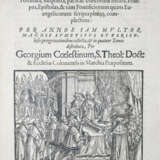 Coelestinus, G. - фото 1