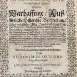 Gualdo Priorato, G. - photo 3