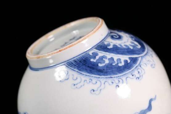 Qing Dynasty blue and white porcelain dragon pattern long neck bottle - Foto 9