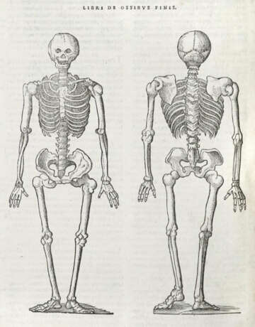 Lacuna, A. - photo 3