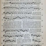 Lesley (Lesleus), A. - photo 4