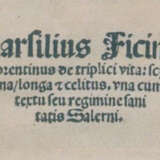 Magninus Mediolanensis. - фото 3