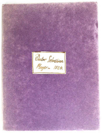 Mayer (Meyer), S. - photo 2 Mayer (Meyer), S. - photo 2