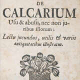 Nicolai, J. - photo 1