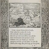 Ovidius, N.P. - photo 3