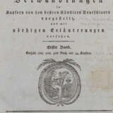 Ovidius, N.P. - photo 2