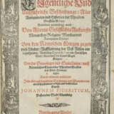 Piderit, J. - photo 1