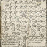 König, K. - photo 1