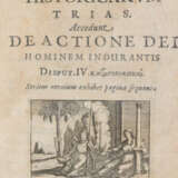 Spanheim, F. - Foto 2