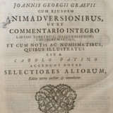 Suetonius, T.C. - photo 1