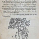 Terentius Afer, P. - Foto 1