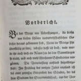 Vergilius Maro, P. - фото 2